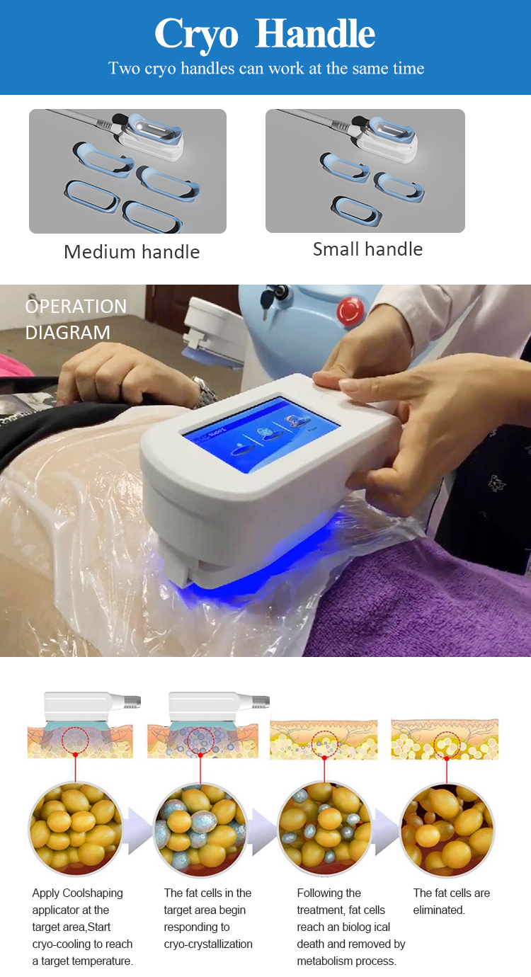 Vacuum Anti Cellulite RF Weight Loss Equipment Slimming Machine Weight Loss