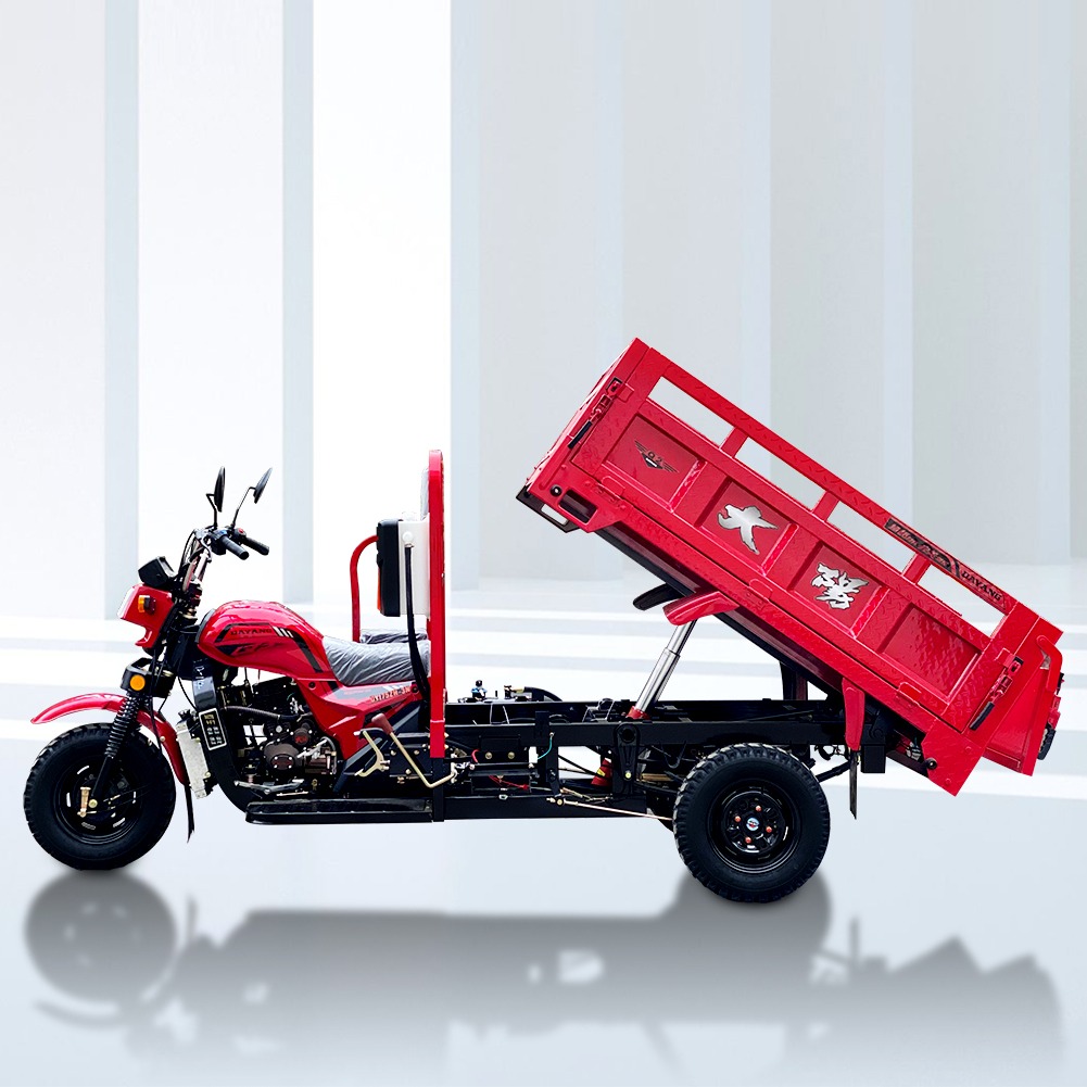 Maximum Speed 50-70Km/h Super Powerful Engine Cargo Tricycle for Adult in South Africa