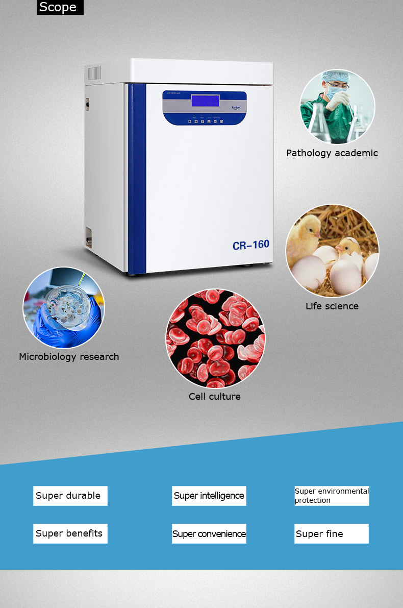 Tissue Culture CO2 Incubator 110V 220V Carbon Dioxide Incubator CE For Medical Lab