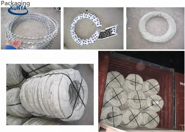 1.4mm Hot Dipped Single Razor Barbed Wire Blade Fencing Bto-22
