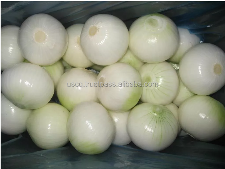 Green Onion Skin Remover Onion And Potato Peeler Onion Skin Paper Onion Skin Peeling Machine Onion Peeler