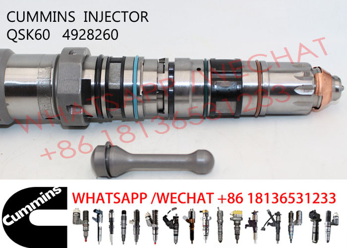 OEM 4928260 4062569 Common Rail Fuel Injector