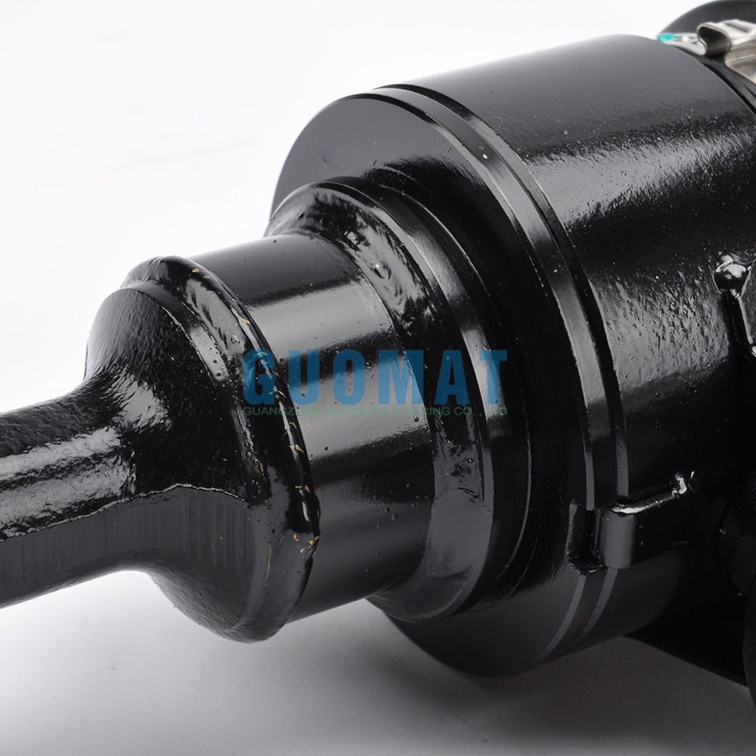 3D0616039 Front Left Air Suspension Spring for Volkswagen Phaeton
