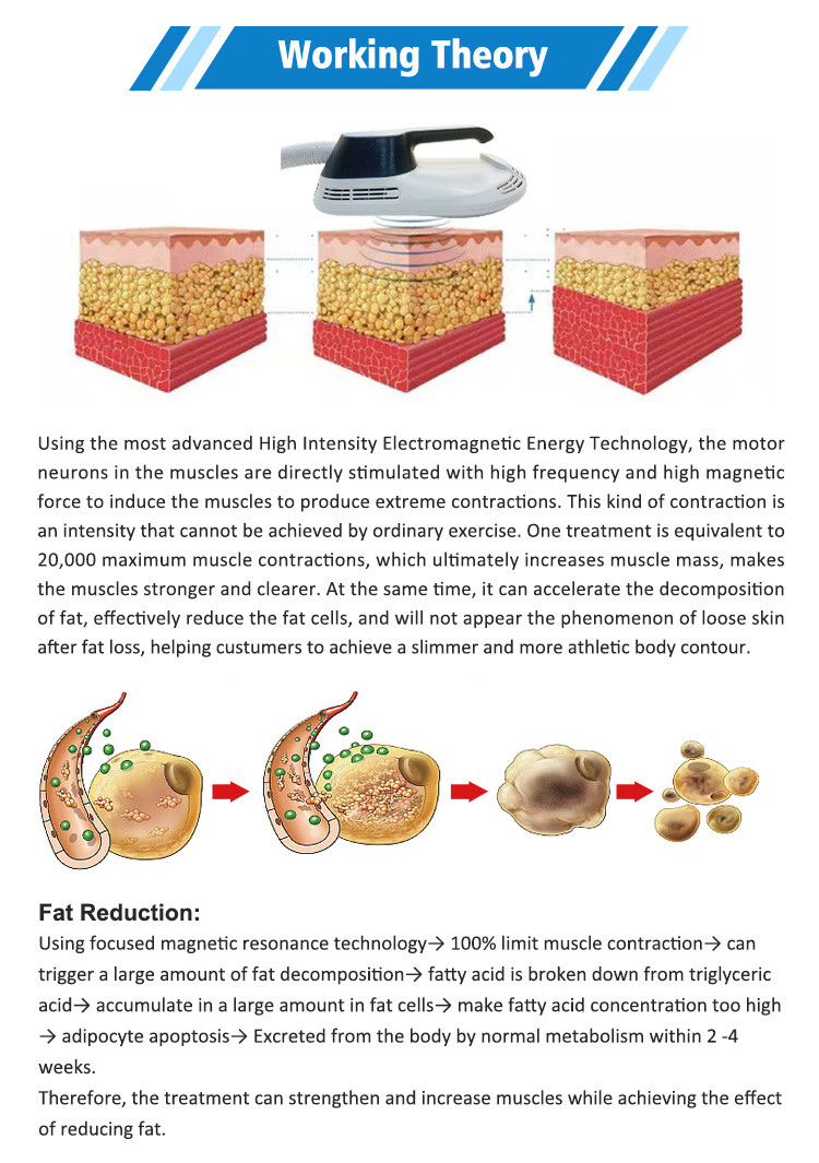 Magnetic Field Fat Sculpting Machine 110V 220V for Muscle Building