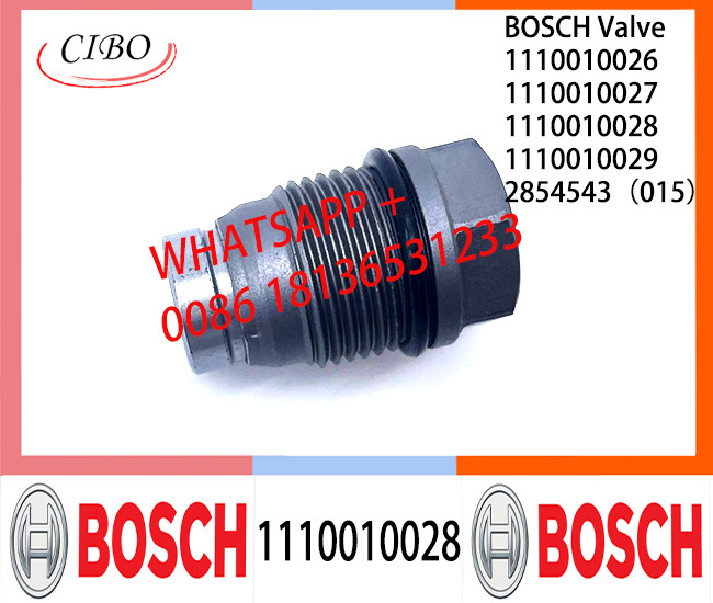 Pressure relief valve 1110010026 1110010027 1110010028 1110010029 2854543（015）1110010009 1110010010 1110010011