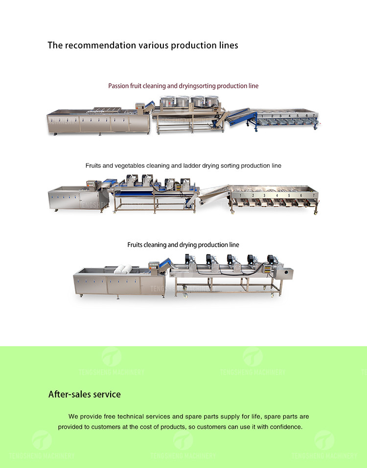 OEM Electric Garlic Processing Machine Skin Removing Equipment