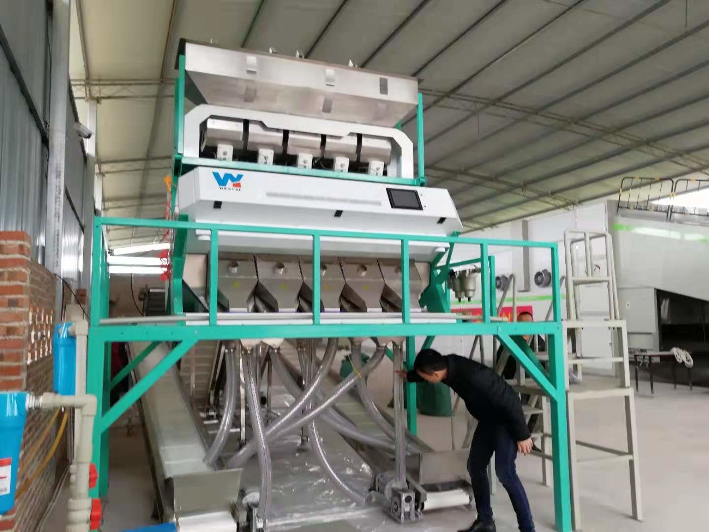 LED CCD Optical PP PVC PET PP Plastic Flake Color Sorter Machine Popular in Thailand