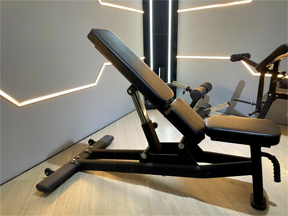 Freeman Commercial Gym Fitness Equipment Adjustable Modern Steel Sit-Up Bench Foldable Bodybuilding Bench