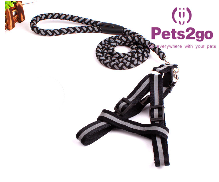 Pet Training Dog Shock Collar Puppies Tools Basic Concepts Learning Curve