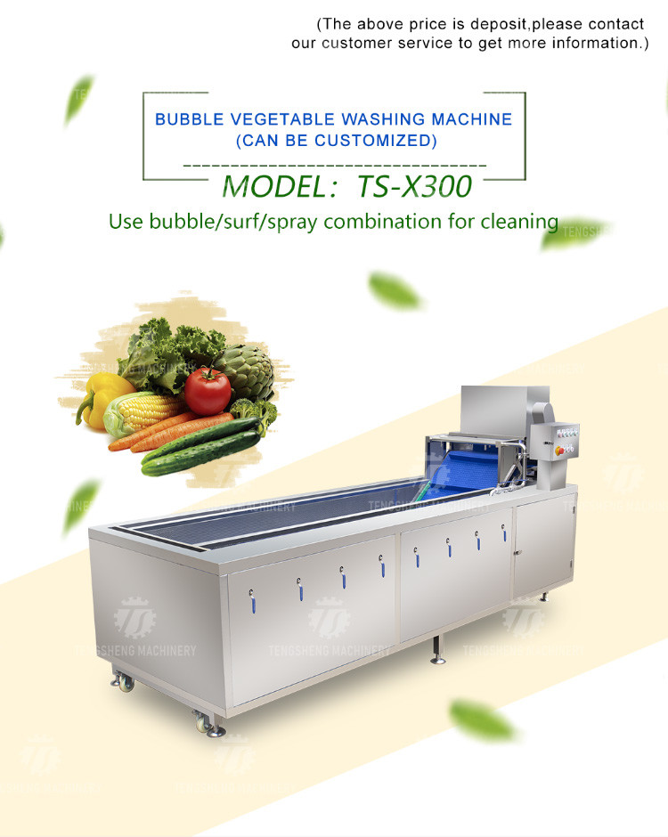240KG Multifunctional commercial sterilizing and washing machine factory direct fruit and vegetable bubble cleaning