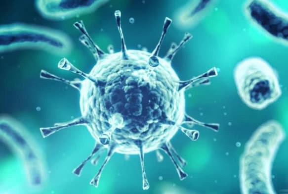 Buy cheap 40 Test Serum / Plasma Sample IgG IgM Detection Reagent product