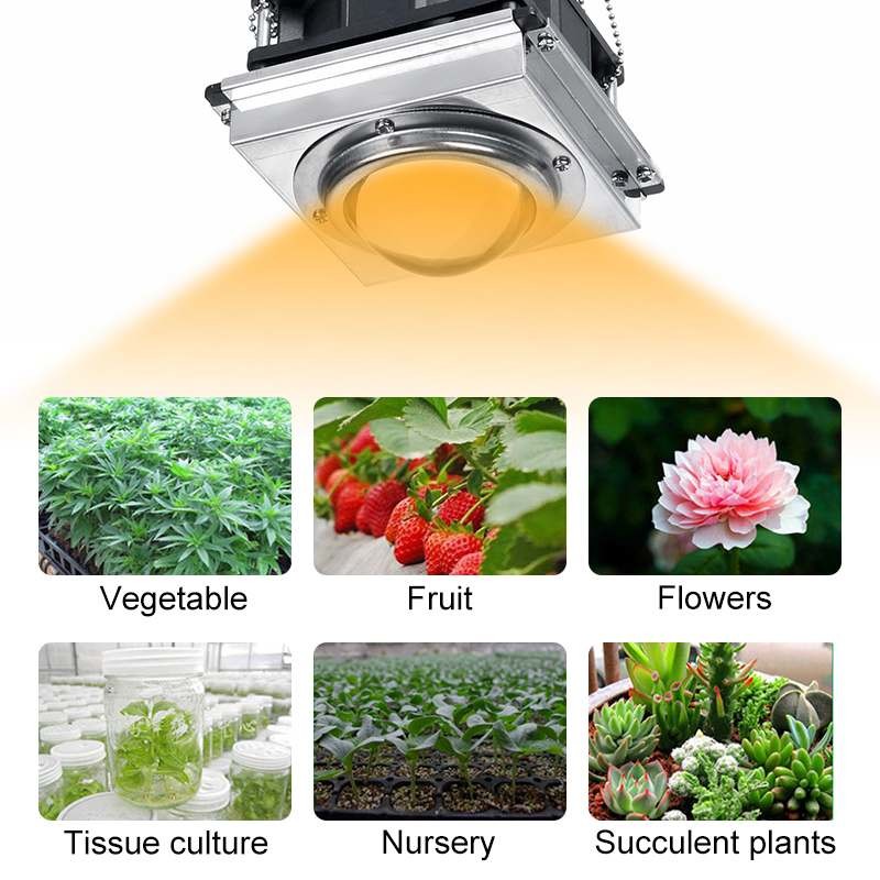 Greenhouse Full Spectrum 50W COB Hydroponic Flower Plant