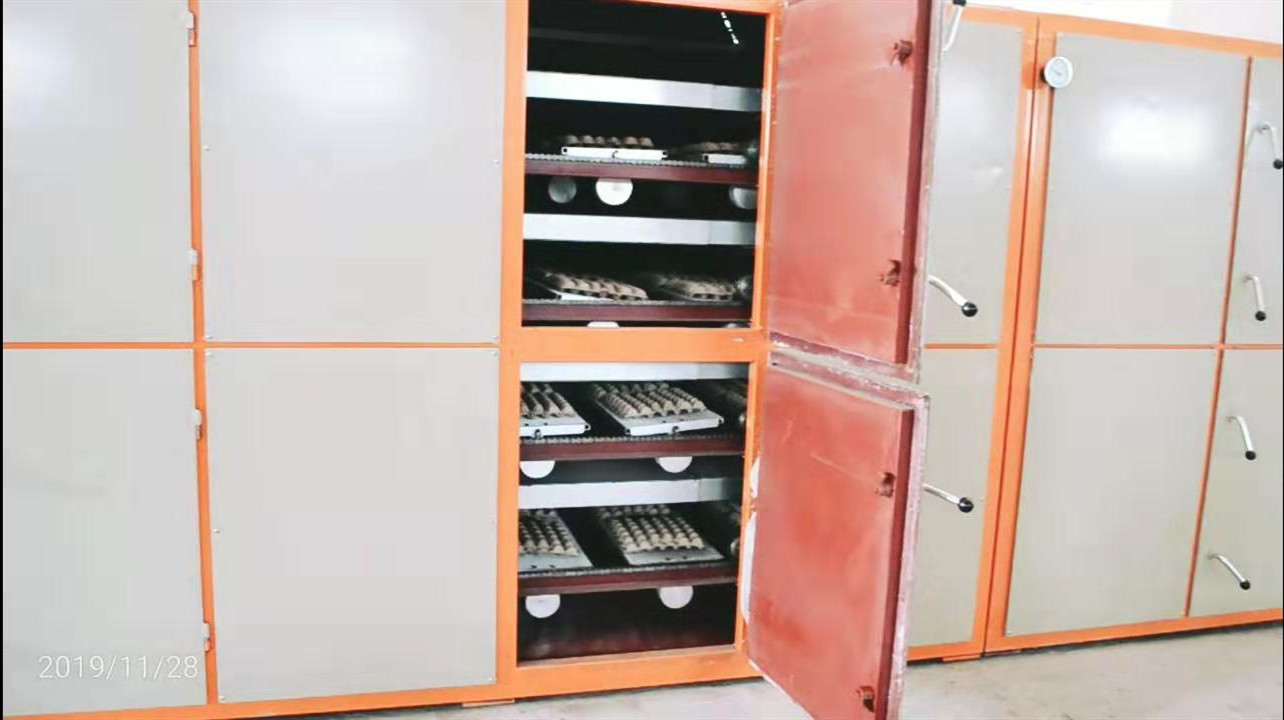 Wanyou High quality low cost small waste paper pulp egg tray machine