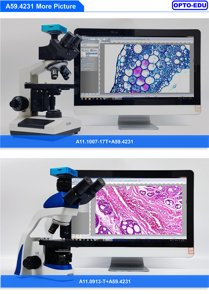 OPTO-EDU A59.4231 2K 38M Portable Hd Microscope Camera