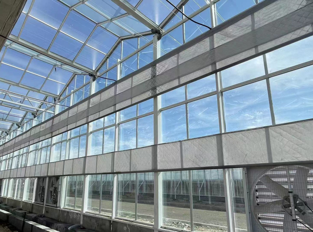 Hydroponics Stromal Humidity Control Multi-Span Seedling Glass Greenhouse