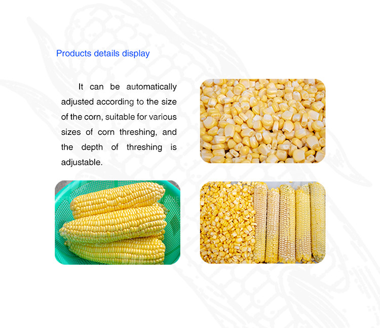 220V/380V Automatic Corn Thresher Sweet Corn Sheller Machine TS-W168