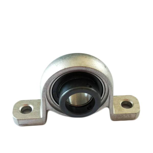 Waterproof Housing UCFL205 White Plastic Pillow Block Bearing FL205