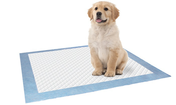 OEM Waterproof High Absorbency Pet Training Pad For Small Animals