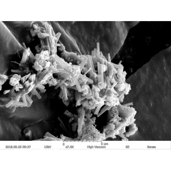 Magnification Max 150000X Scanning Electron Microscope 5nm Resolution EDS BSE