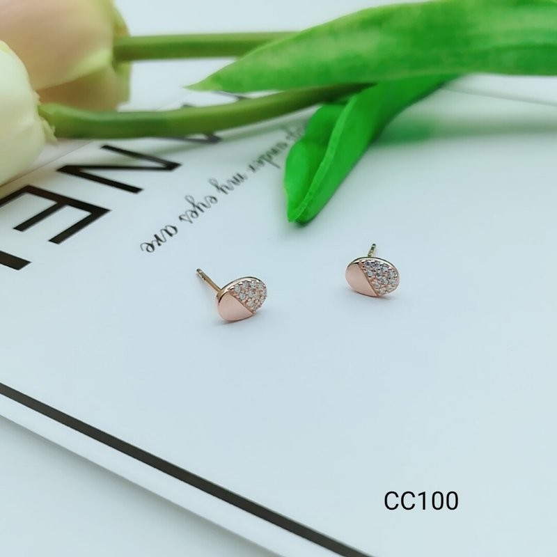 2018 New Style stud earrings Beautiful Silver Earrings For Women XW113