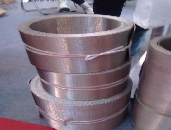 Stainless Steel 304 Reverse Dutch Five Heddle Weave Wire Mesh/Continuous Screen mesh