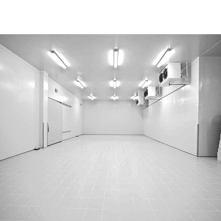 Cold Room Freezer Room Ante Room Packing Room