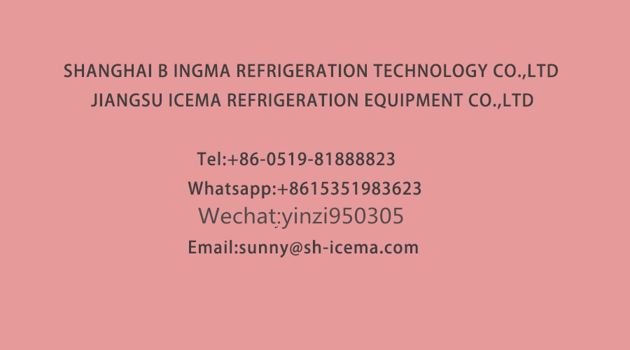 Stainless Steel Ice Crusher Machine 200kg/Min Electric Outdoor