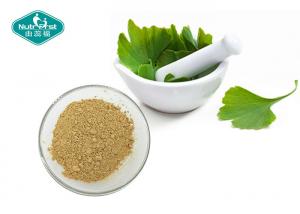 China Ginkgo Biloba Standardized Extract Powder 24/6 for Memory Support on sale