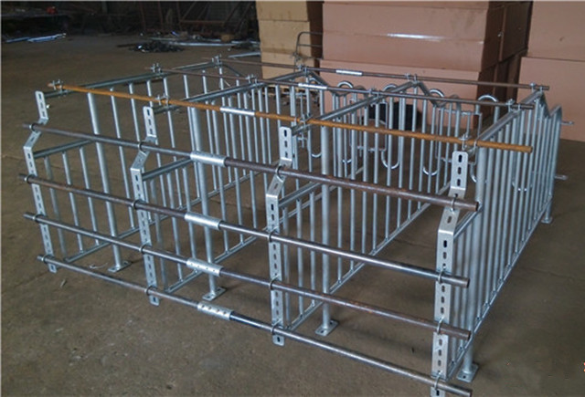 Customized Design Pig Gestation Crates With Cast Iron Feeders Or Ss Sow Feeders