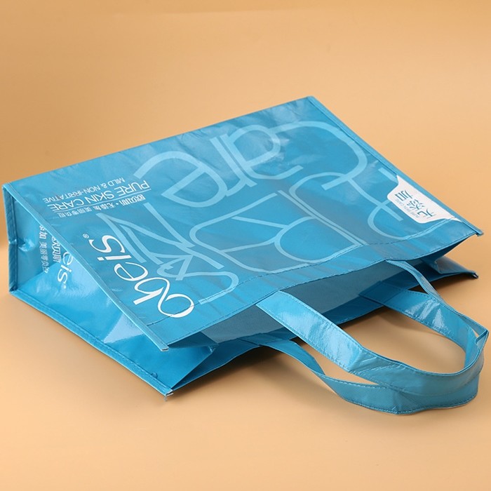 Reusable PP Non Woven Fabric Shopping Bags With Zipper , Non Woven Carry Bags
