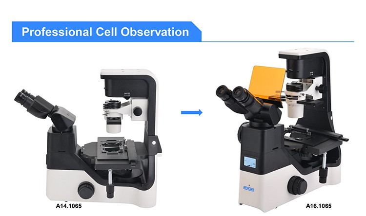 OPTO EDU A16.1065 LCD Screen Inverted LED Fluorescent Microscope Tiltable Binocular Photo Port On Side