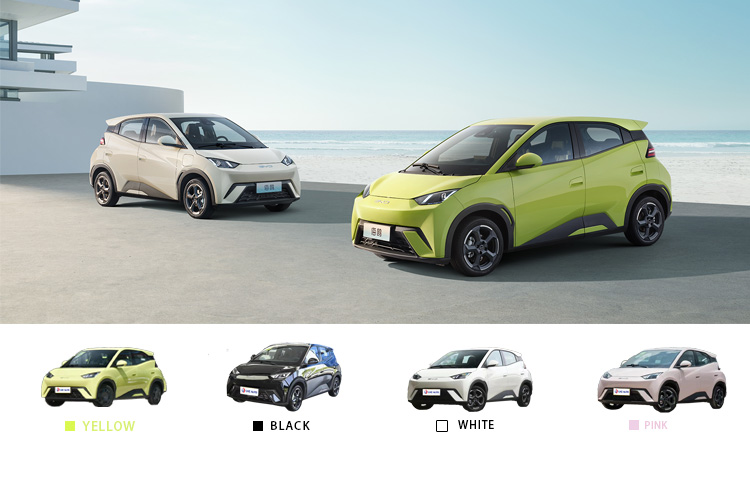 2024 BYD Seagull 405 Vitality Four Door Four Seat Micro Energy Vehicle for Purchase