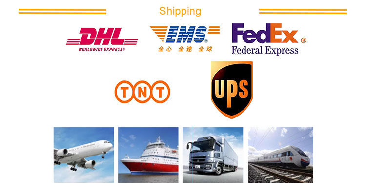 Texture Custom ABS PA PP Polycarbonate Plastic Injection Molding For Auto Parts with Painting and Customized Colors