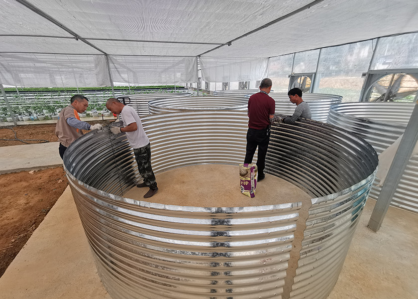 Industrial Indoor Recirculating Aquaculture System 7kg/M³ Shrimp Density 30% Faster Growth