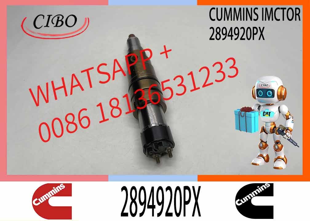 Common Rail Injector Fuel Injecto 4905880 2086663 2894920PX 2058444 For ISZ13 Excavator DC09 DC16 DC13