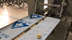 SIEMENS Touch Screen Single Lane Cream Biscuit Machine Automatic