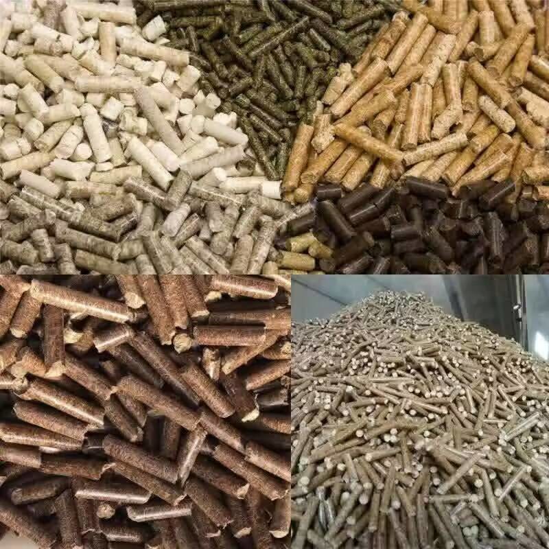 1-5 Tons/H Eucalyptus Biomass Wood Pellet Mill Machine Low Noise