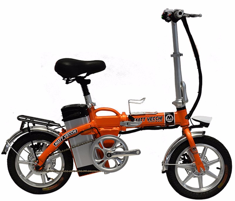 48V 250W Brushless Motor Mini Folding Electric Bike 14 Inch With Compass Rim