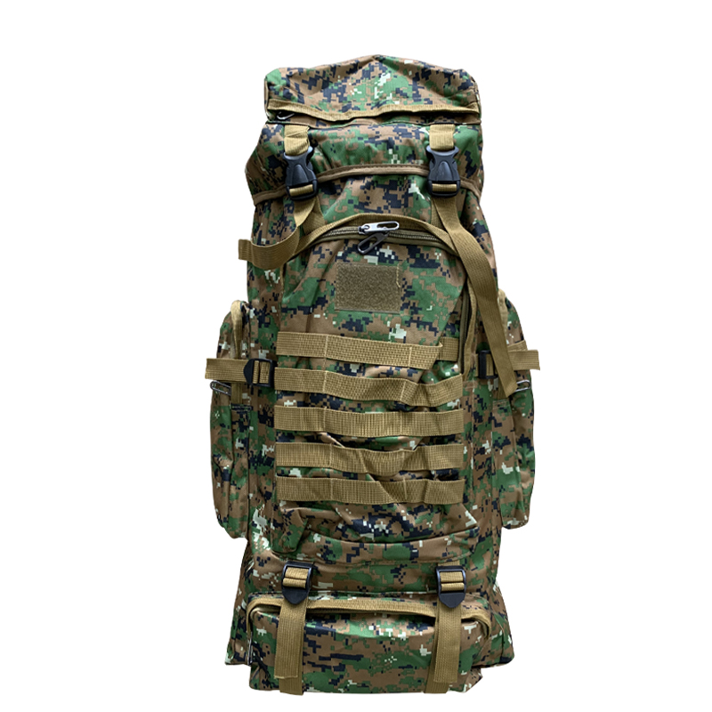 Customized LANDSCAPE Pattern Type 80L Backpack for Outdoor Sport and Camping