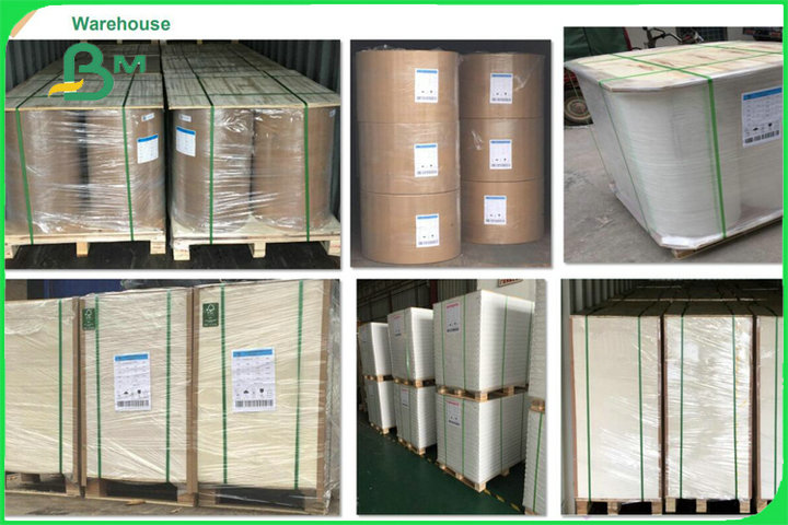 One Side High Quality Coated Duplex Board White Surface 250gsm 300gsm For Boxes