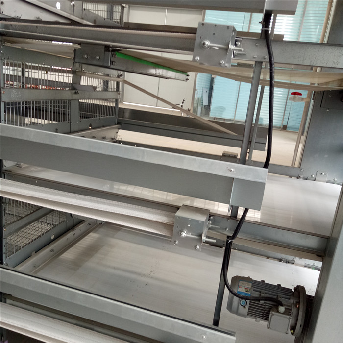H Type Automatic Manure Removal System High Performance For Chicken Farm