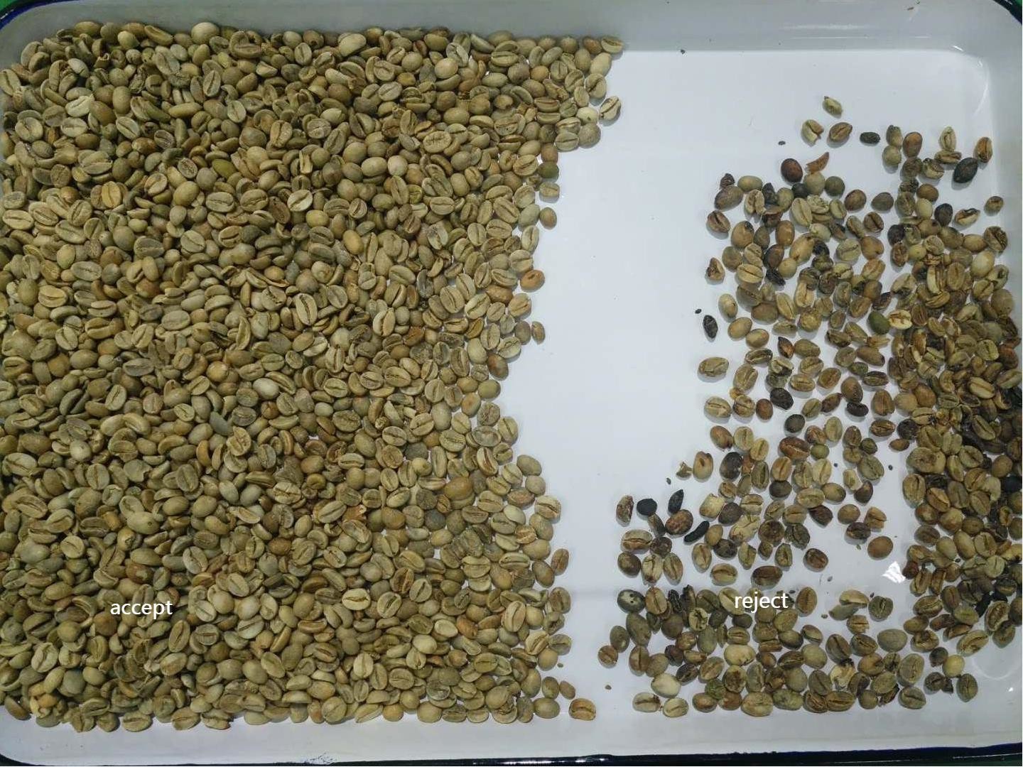 Automatic CCD Color Sorter For Sesame Rapeseed Chia Seed
