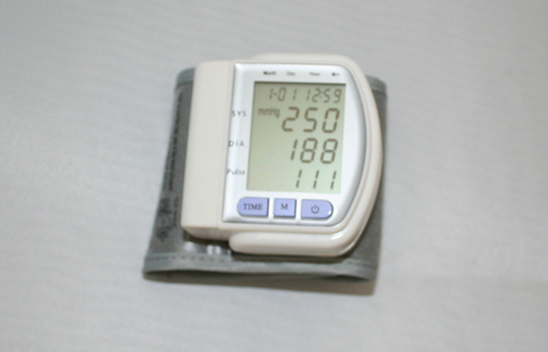 Nissei Digital Blood Pressure Monitor , Arm Type Fully Automatic