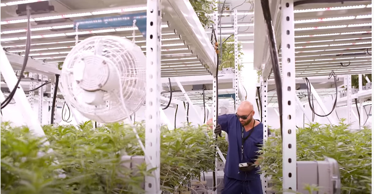 Wifi Master Controllor ETL 4000K Horticulture Grow Lights