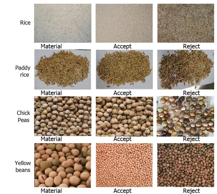 Cardamom Color Sorting Machine Beans Color Sorter Cardamom Processing Line