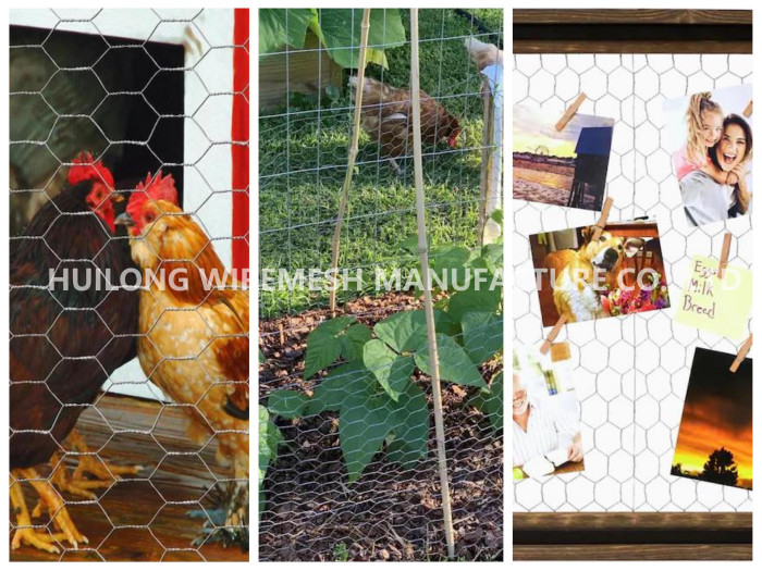 4ftx50ft Hexagonal Wire Netting For Animal Plants Diy Crafts