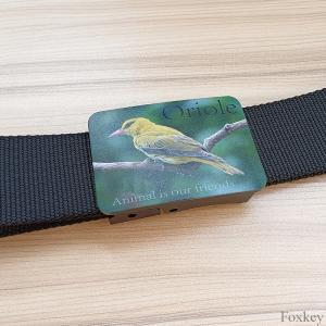China Promotional Plastic Buckle Belt Nylon Logo Photo Print Design Your Own Belt on sale