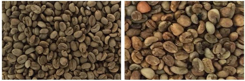 Professional Beans Color Sorter Machine Bean Seed Separator Color Sorter Grain