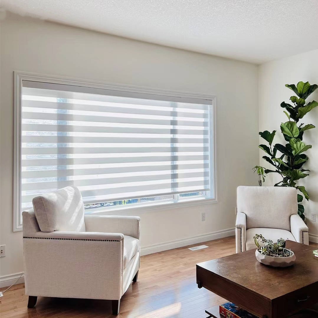 Customization Blackout Cordless Curtain Blinds Motorized Zebra Shades
