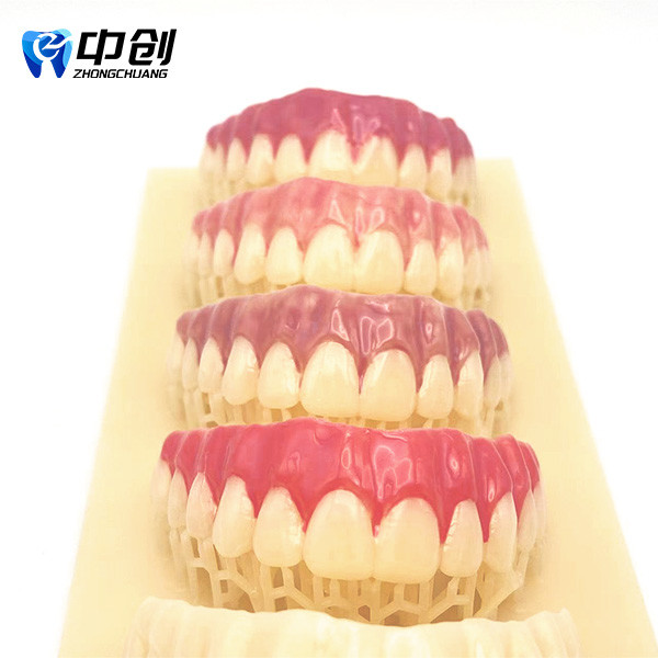 Pink Opaque Gum Color Light-cured Resin With Base Color Blocking